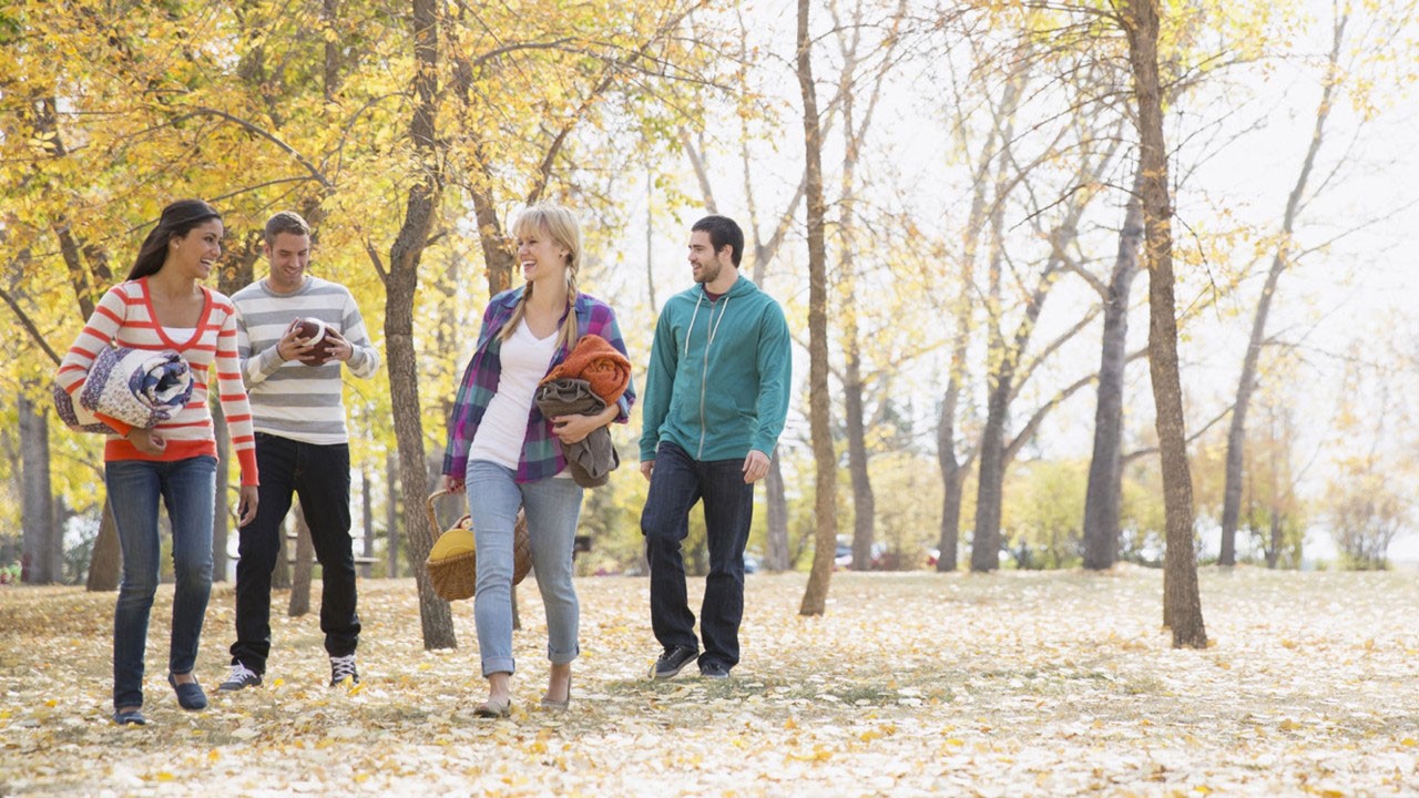 group of friends walking in a park to a picnic 