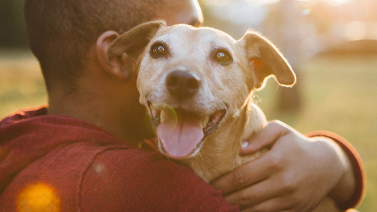 man hugging his dog