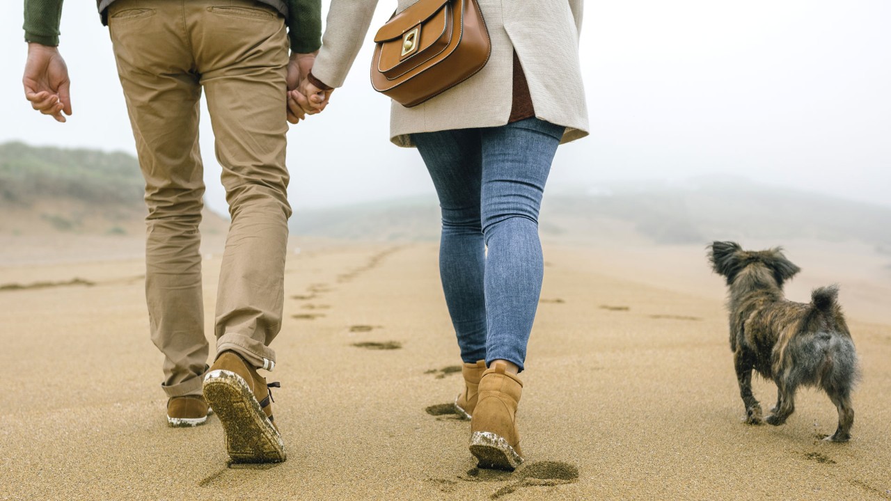 couple holding hands walking on the beach with their dog